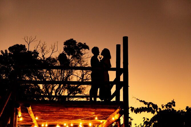 harvest-evening-grape-pisa-at-vinhos-cristofoli