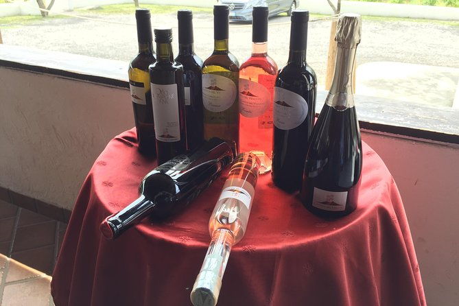 herculaneum-wine-tour-from-sorrento-with-licensed-guide-included