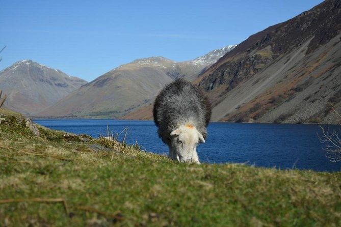 high-adventure-mountain-passes-muncaster-castle-from-oxenholme-2