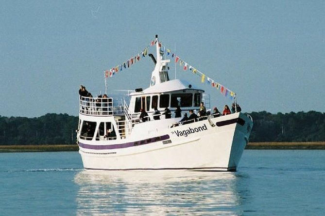 Hilton Head Island Dolphin Watching Nature Cruise