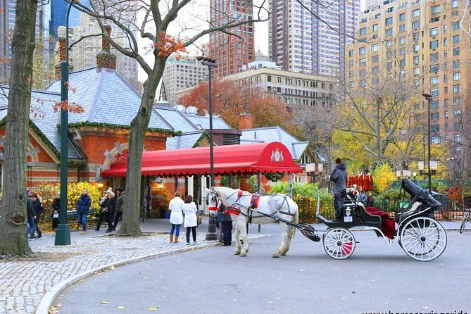 horse-carriage-tour-in-new-york-citys-central-park-small-loop