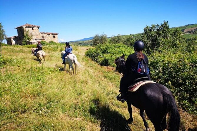 horseback-ride-and-poolside-day-chillout-with-tuscan-lunch
