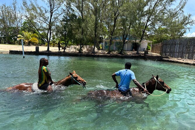 horseback-ride-and-swim-guided-tour-from-montego-bay