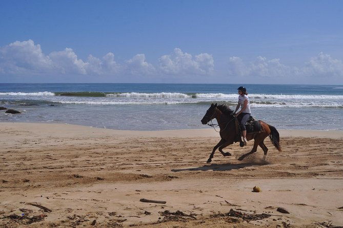 horseback-riding-tour-adventure-on-the-beach
