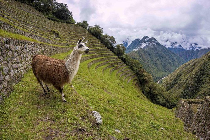 inca-trail-trek-to-machu-picchu-2-days-small-group-or-private