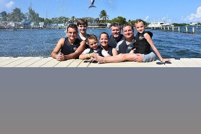 interactive-dolphin-experience