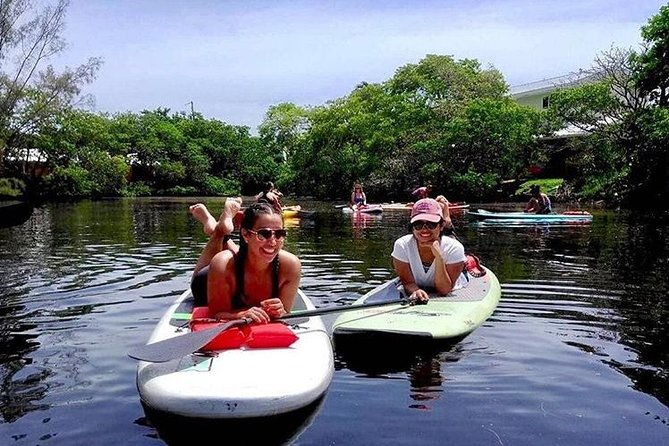 Island City ECO Paddle and Lesson to 9.3 Acre Nature Preserve