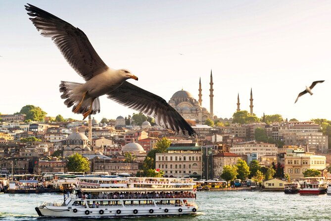 istanbul-bosphorus-boat-tour-and-golden-horn-cruise-day-or-sunset