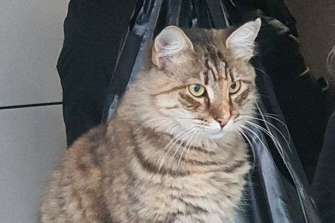 istanbul-tour-with-local-expert