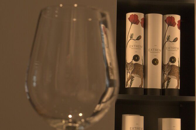 jamon-iberico-fine-meats-gourmet-tasting-with-wine-in-madrid