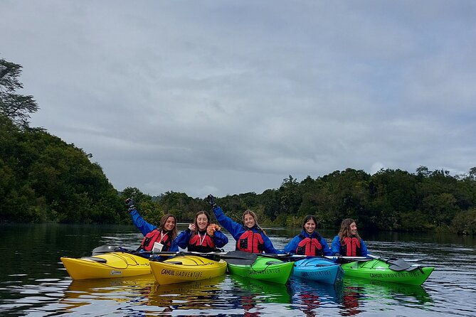 kayak-through-the-sunken-forest-of-the-maullin-river