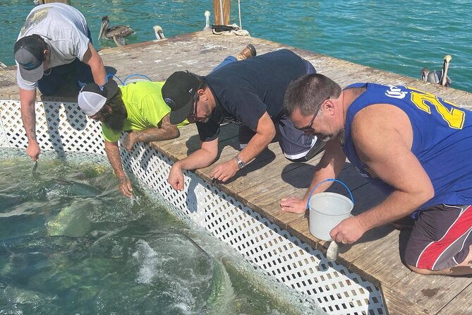 key-largo-and-islamorada-private-tour-by-cabriolet-bus