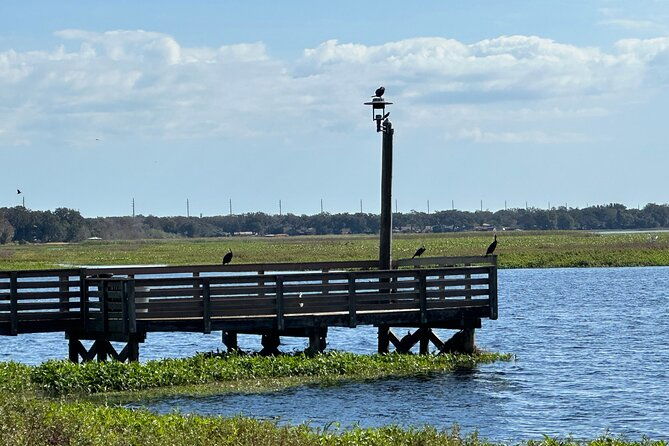 kissimmee-and-st-cloud-beach-tour-on-all-electric-trike-4-hrs
