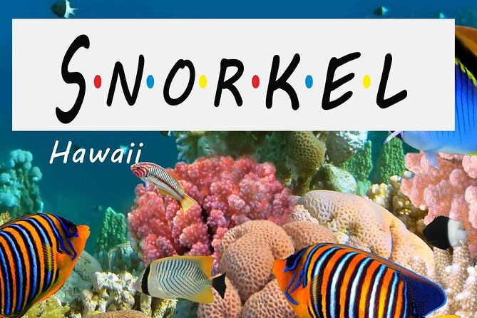 Kona Shore Excursion: Wild Dolphin Reefs Snorkel and Sea Caves