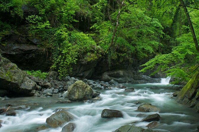 lagodekhi-a-day-hiking-from-tbilisi