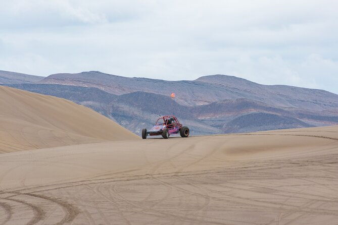 las-vegas-big-dune-free-roam-adventure-at-amargosa-2