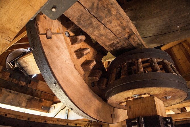 leonardo-da-vincis-wind-mill-visit-and-organic-olive-oil-tasting