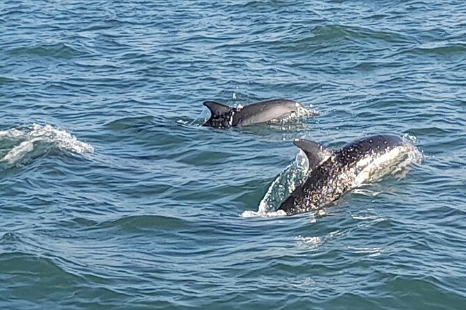 lisbon-sunset-and-day-tours-by-boat-with-drinks-and-music