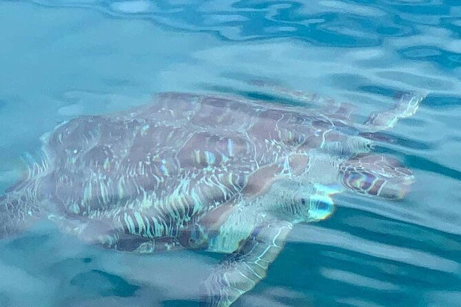little-bay-half-day-sail-snorkel-adventure