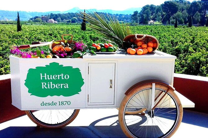 live-an-experience-among-orange-trees-in-huerto-ribera