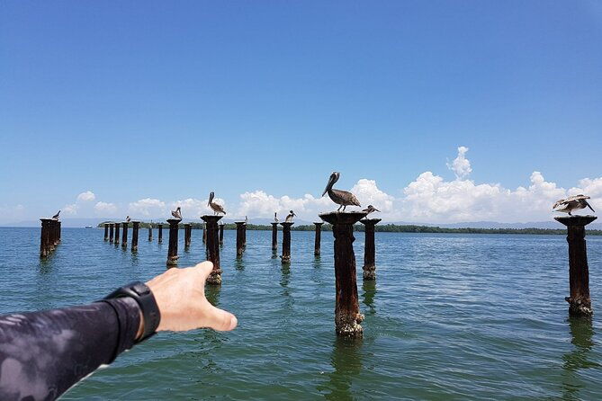 los-haitises-national-park-round-mountain-bacardi-island