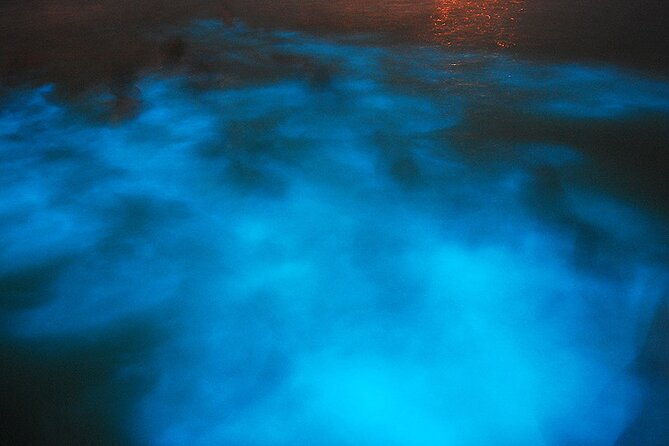 luminous-lagoon-night-cruise-from-montego-bay