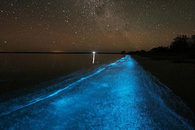 luminous-lagoon-night-time-tour-from-montego-bay
