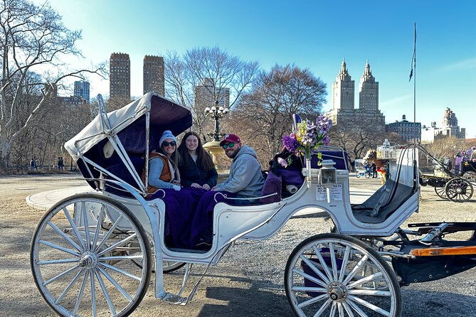 luxury-horse-and-carriage-tours-in-central-park