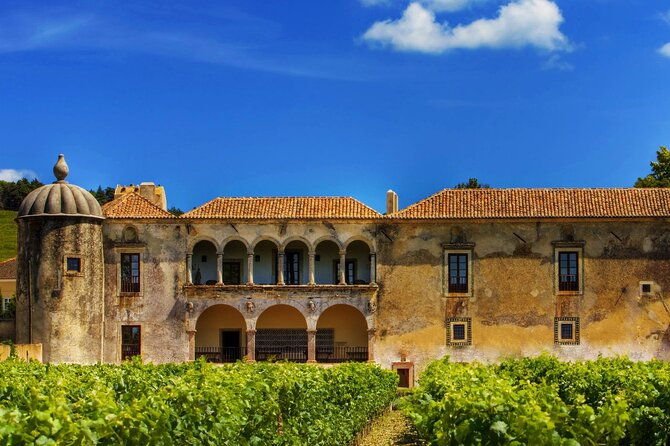 luxury-private-arrabida-tour-and-bacalhoa-palace-with-exclusive-wine-taste