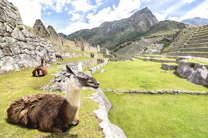 machu-picchu-full-day-tour-3