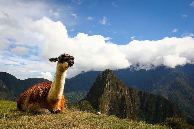 machupicchu-private-guide