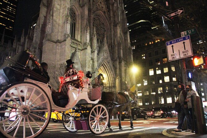 magical-evening-horse-drawn-carriage-through-nyc-65-min-2