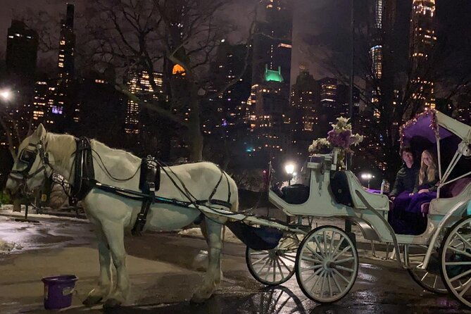 magical-evening-horse-drawn-carriage-through-nyc-65-min