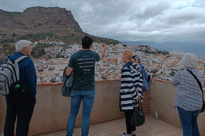 malaga-small-group-tour-with-wine-tasting-culture-vineyard-3