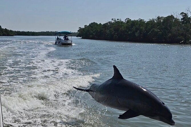 Manatee, Dolphin and 10,000 Islands Sunset Cruise!