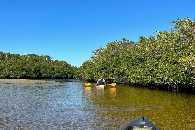 manatees-grasslands-and-mangroves-kayak-tour-small-group-tour