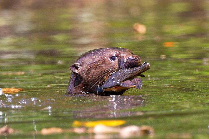 manu-adventure-4-days