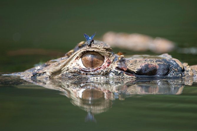 manu-jungle-exploring-5-days