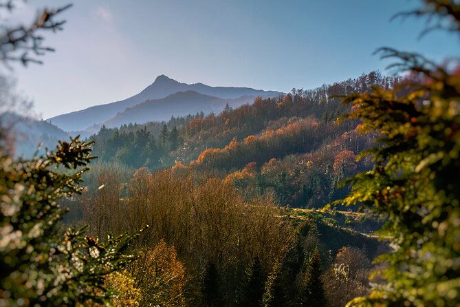 medieval-castles-and-girona-exclusive-trip-with-catalan-lunch