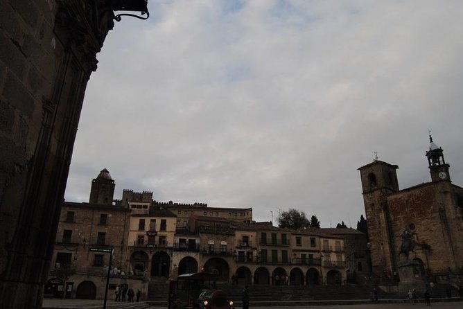 medieval-castles-wineries-experience-with-tasting-from-madrid-2