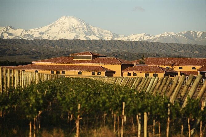 mendoza-malbec-experience