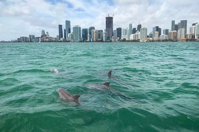 Miami Small Group Boat Tour: History, Wildlife, and Stiltsville