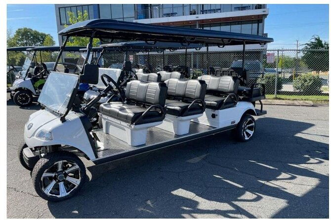 midtown-new-york-sightseeing-tour-in-a-luxury-golf-cart-lsv