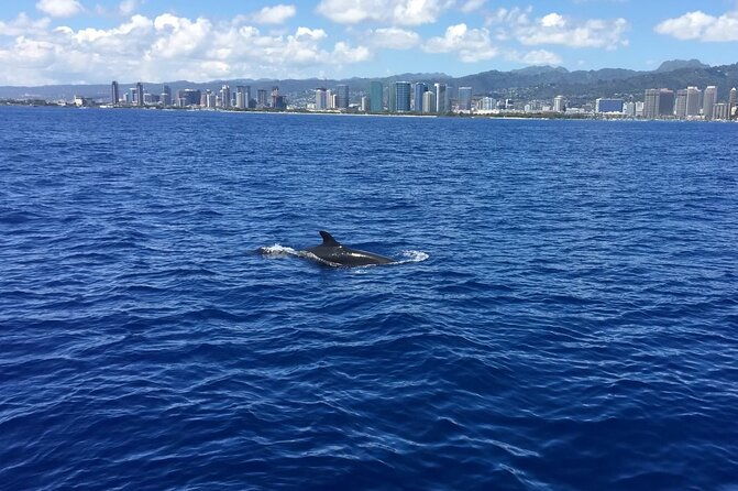 moanas-waikiki-turtle-snorkeling-experience-on-nalu-2