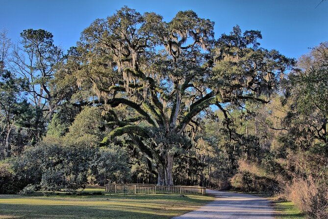 mobile-area-multi-attraction-pass