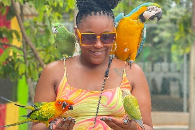 montego-bay-exotic-herbs-birds-and-animals-interaction-tour
