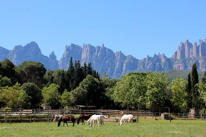 montserrat-horseback-riding-monastery-small-group-tour-2