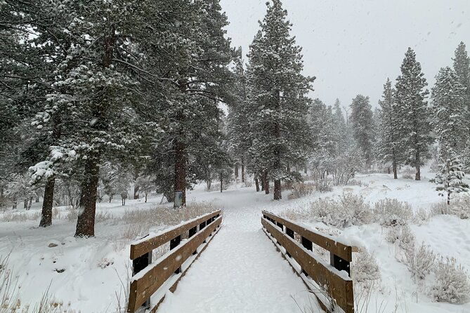 mount-charleston-guided-tour