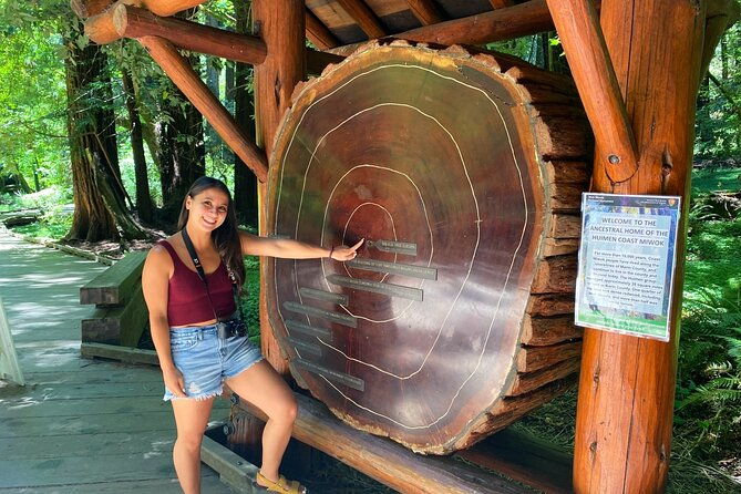 Muir Giant Redwood Trees 3 Hour Private Tour W Golden Gate Bridge