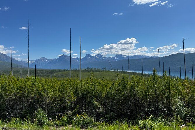 Nature Walk in Glacier National Park